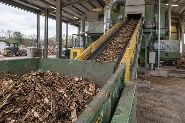 Wood chips moving up a conveyor at a biomass processing yard